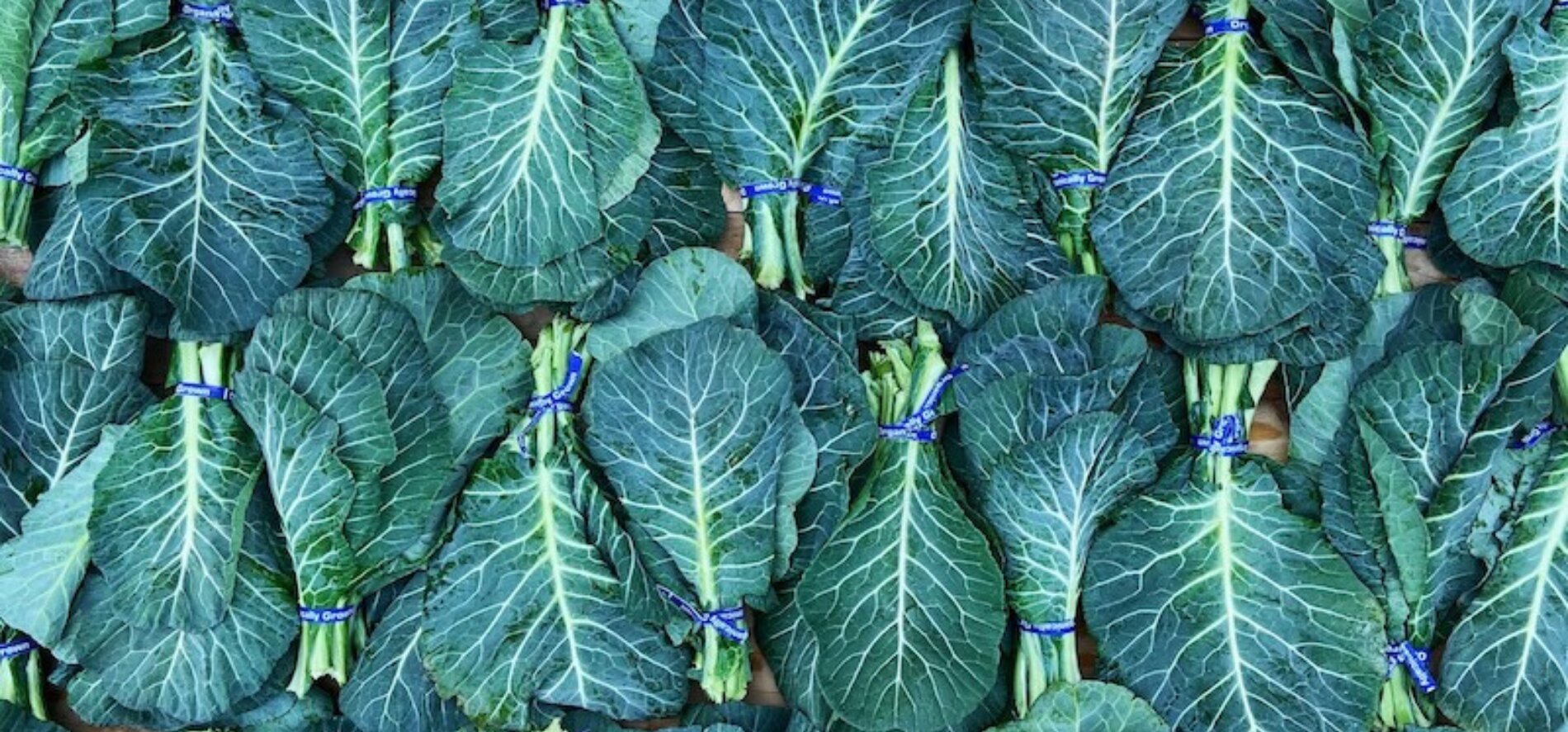 Collards, A New Years Tradition