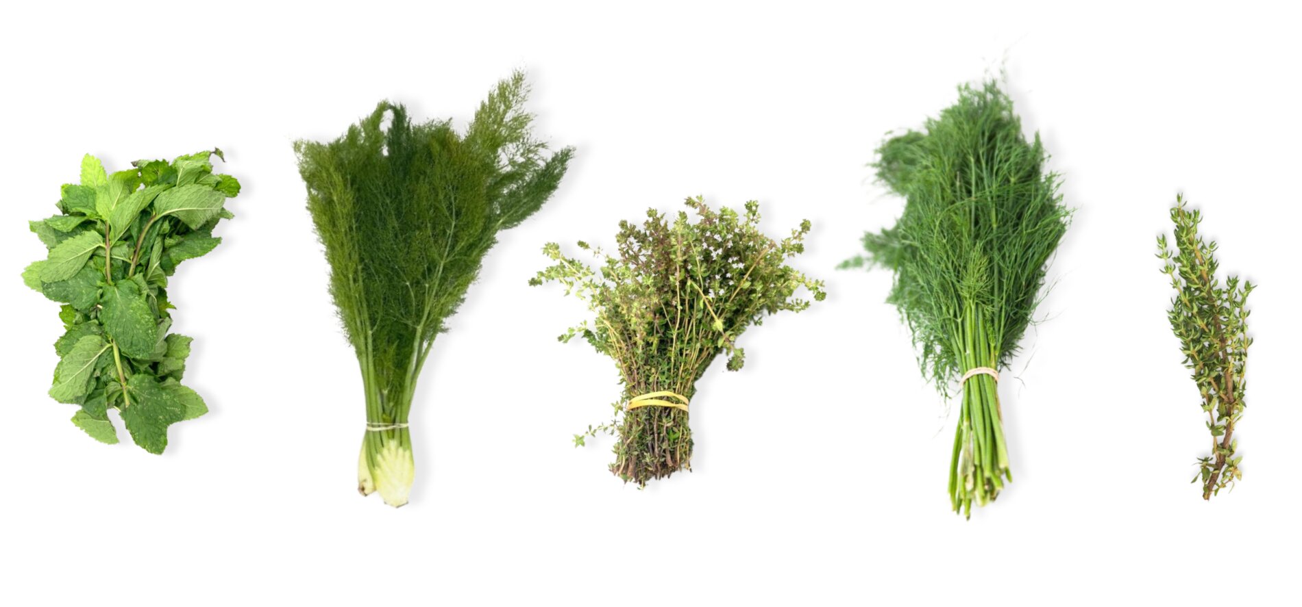 Local Organic Herbs