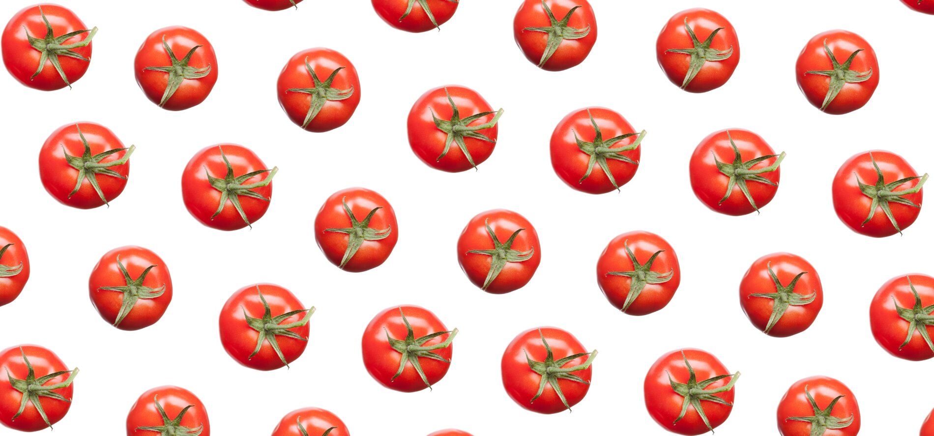 Tomato Talk: America