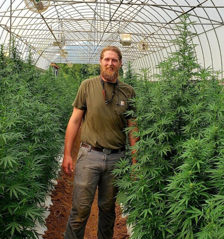 Fresh Harvest - Sustainable CBD Farm, AL