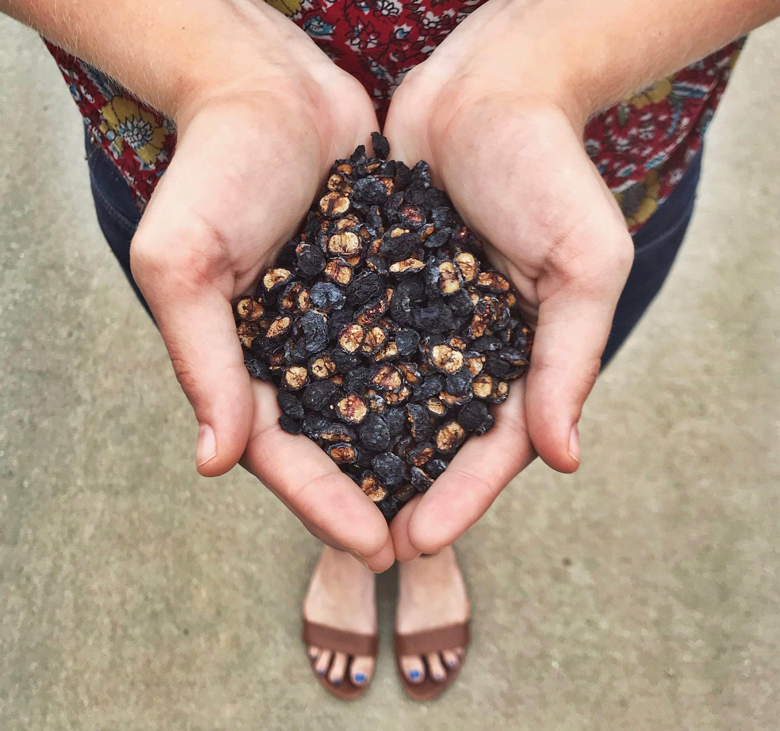 dehydrated organic blueberries