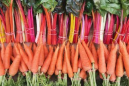 Organic Carrots and Chard