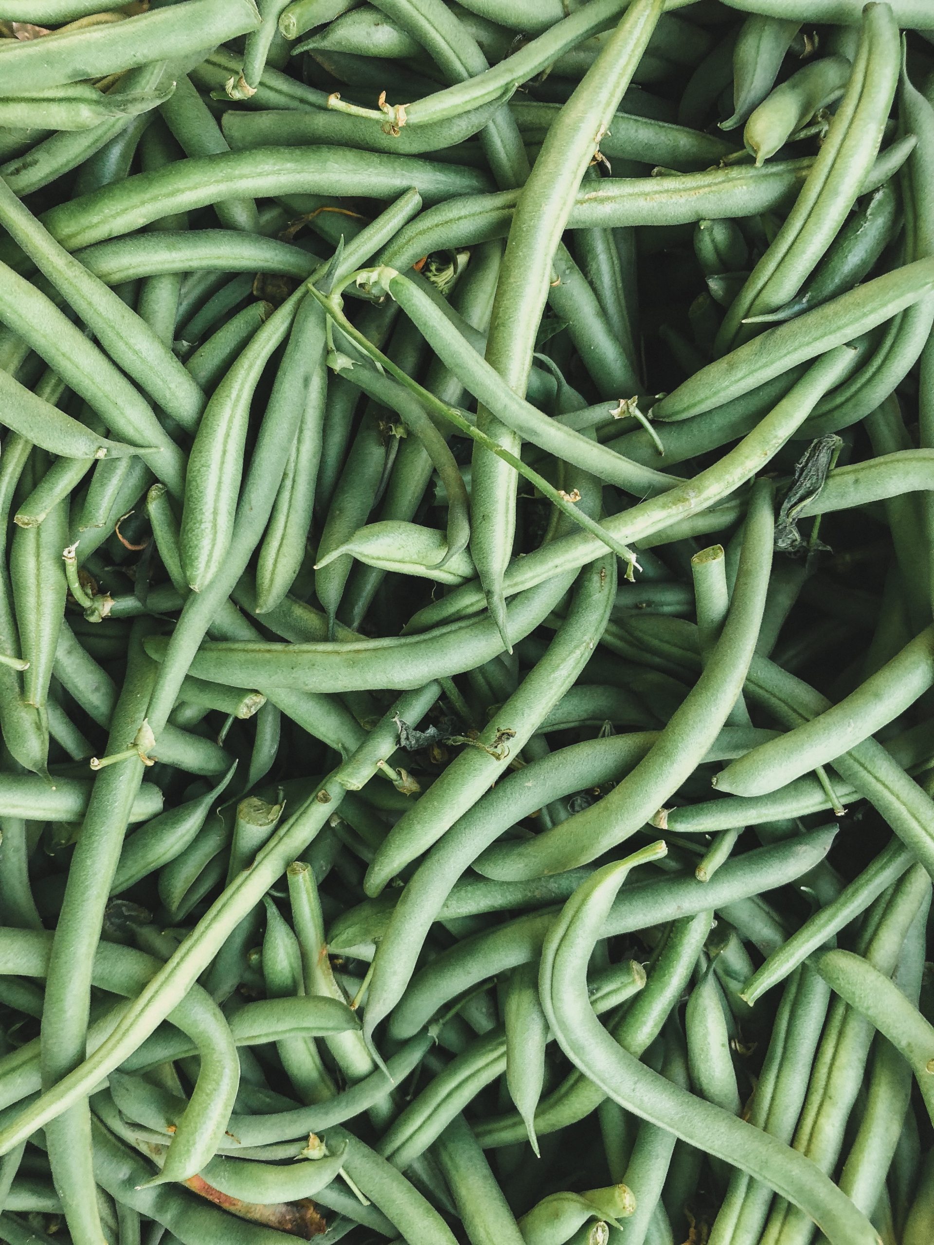 Fresh Green Beans