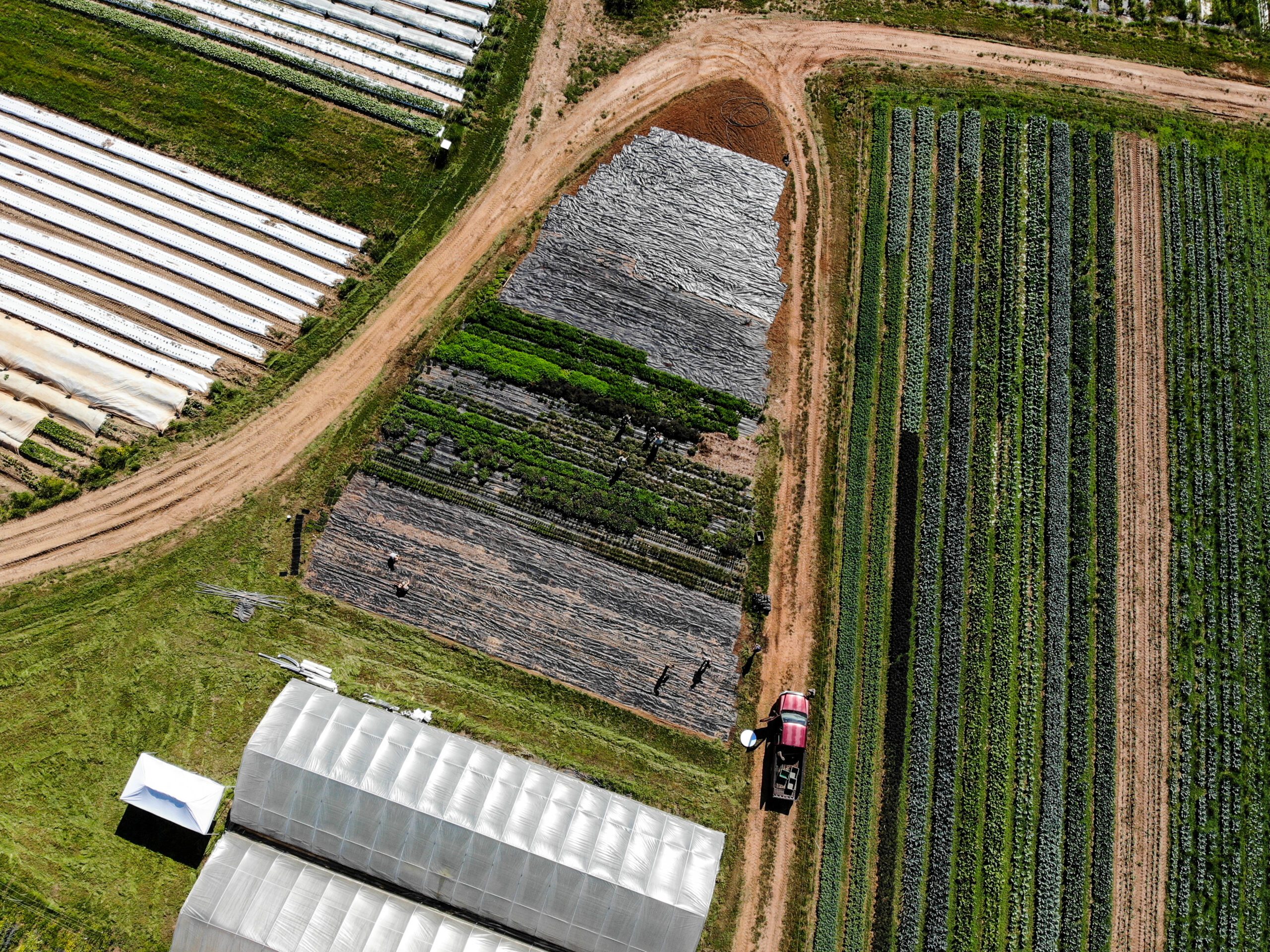 Rodgers Greens & Roots Organic Farm in Douglasville, Georgia