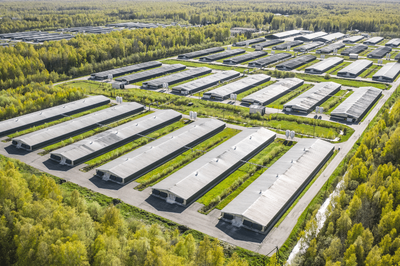 Georgia mass chicken and egg production facility