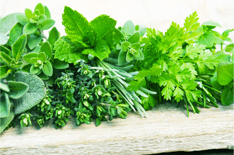 make superfood powder from these local greens