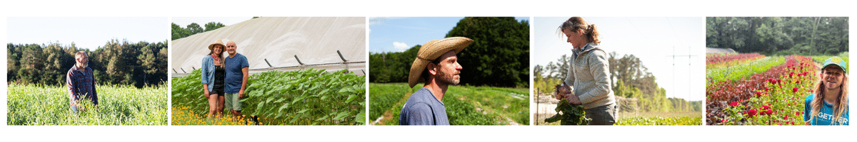 summer produce